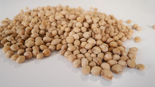 TERMOFOR MAŁY 180g GROCHY SZARE